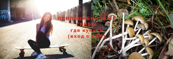 спиды Пересвет